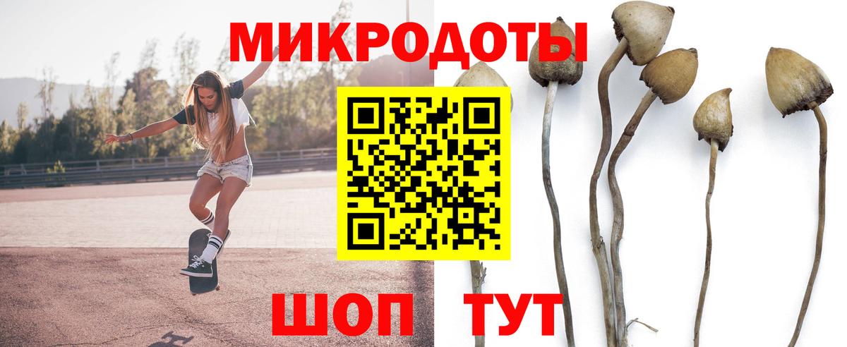 Галлюциногенные грибы Magic Shrooms Элиста