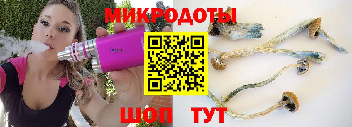 сколько стоит  Вход с VPN  Элиста  Псилоцибиновые грибы ЛСД  Галлюциногенные грибы Psilocybe 